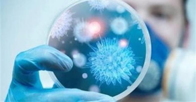 نائب محافظ الدقهلية يكشف آخر تطورات فيروس كورونا بمدينة بلقاس