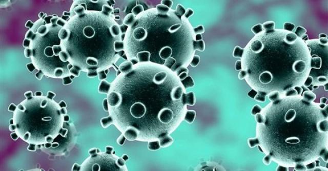 فيروس كورونا