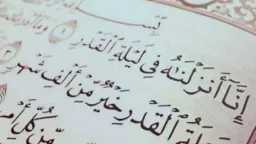 الرأي العام