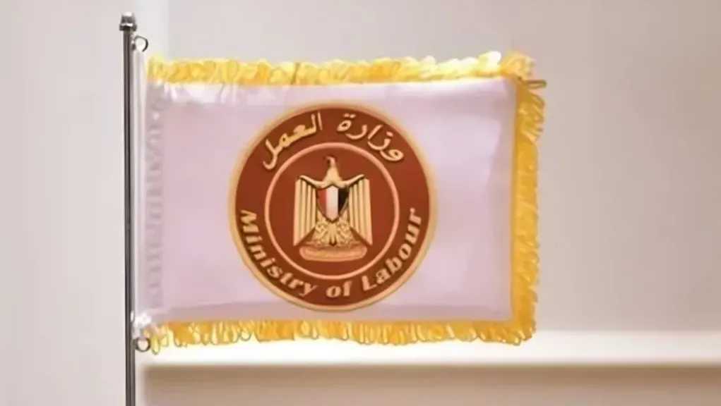الرأي العام