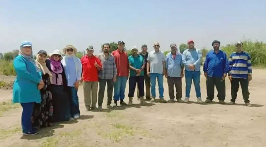 الرأي العام