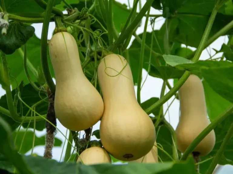 صحة وجمال