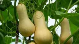 صحة وجمال